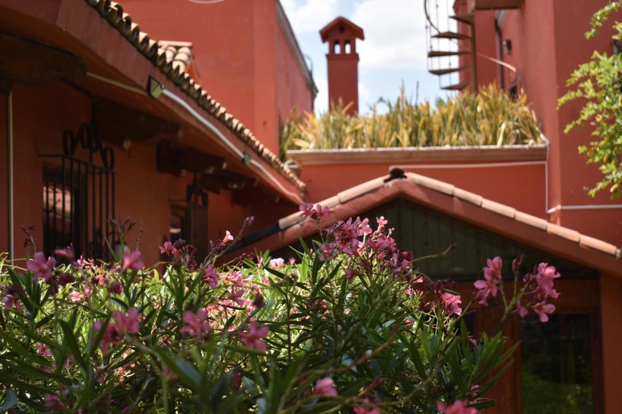 Casa Maria Elena Bed & Breakfast San Miguel de Allende Exterior photo